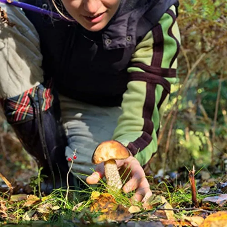 backlight Borsa per Il foraggiamento dei Funghi – Borsa da Raccolta per Raccogliere Frutta | Borsa per la Raccolta della Borsa a