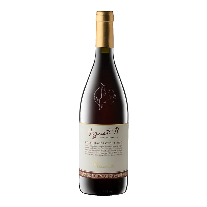 Cantine Belisario 1 bottiglia - Vigneti B Colli Maceratesi Rosso BIO DOC 2022