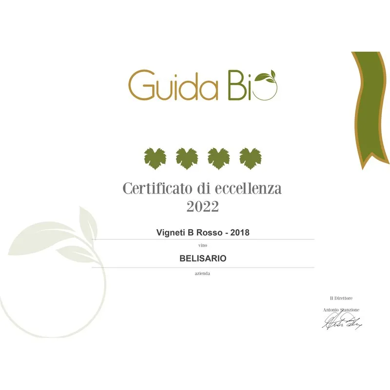 Cantine Belisario 1 bottiglia - Vigneti B Colli Maceratesi Rosso BIO DOC 2022