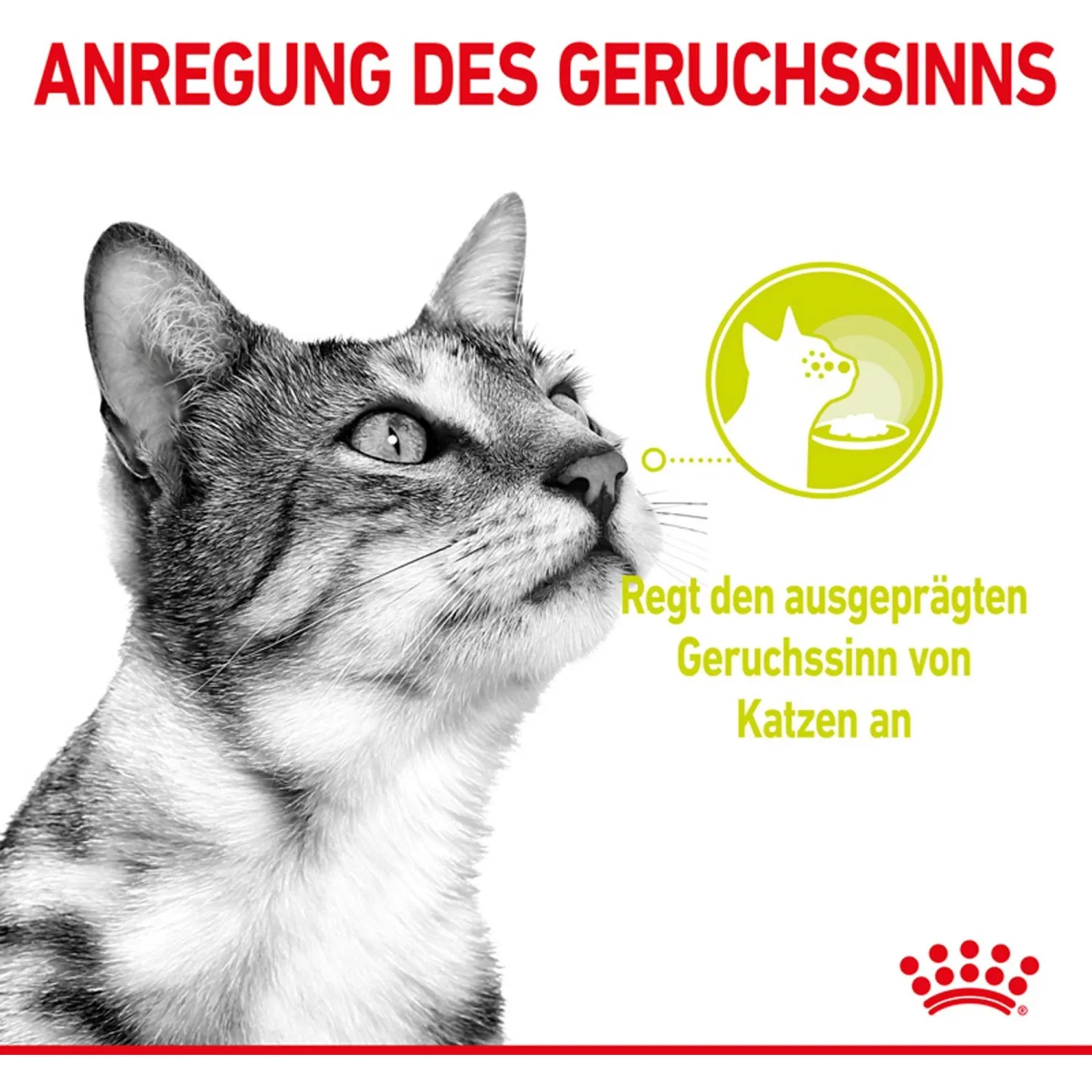 Cibo umido per gatti Royal Canin Sensory Smell 85 g