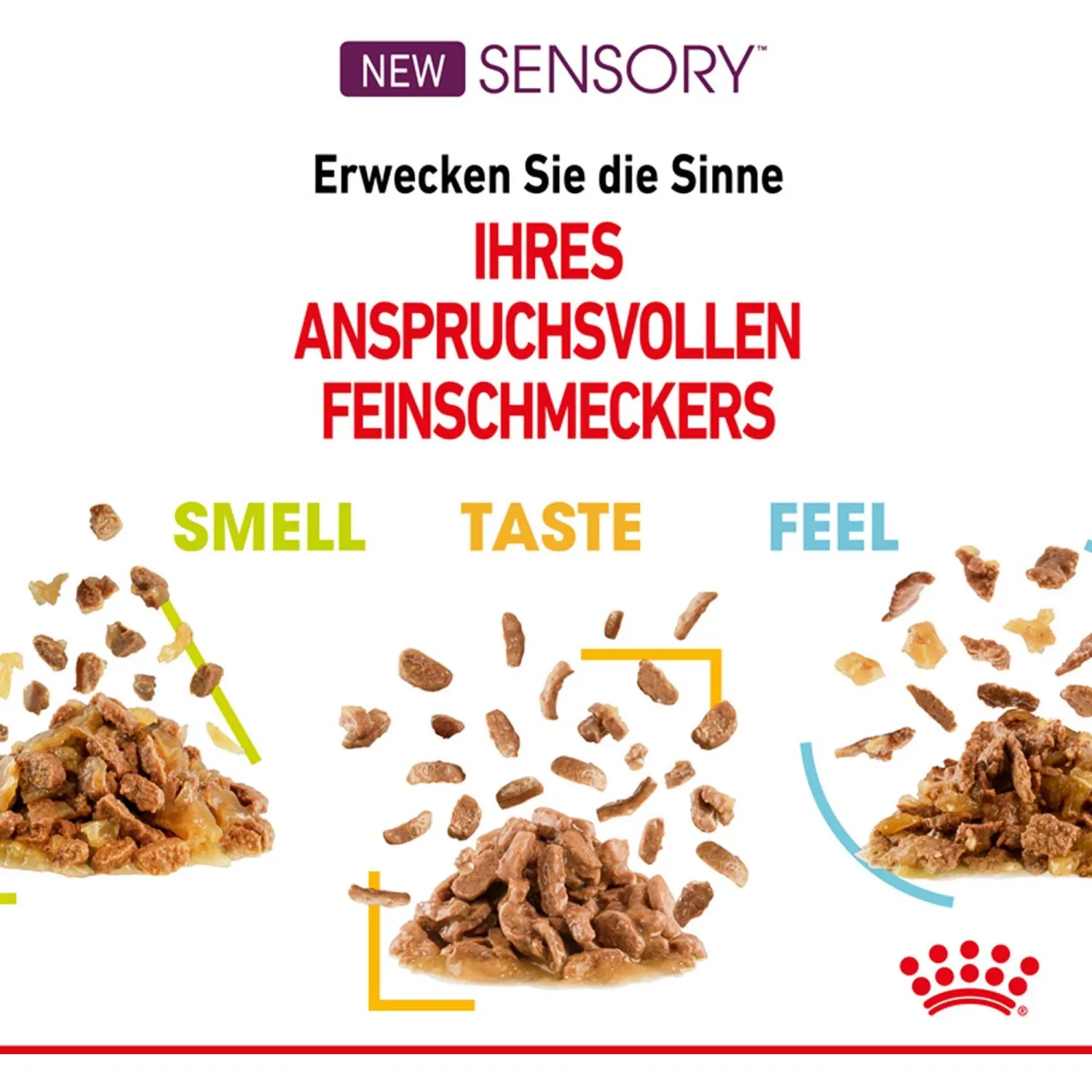 Cibo umido per gatti Royal Canin Sensory Smell 85 g