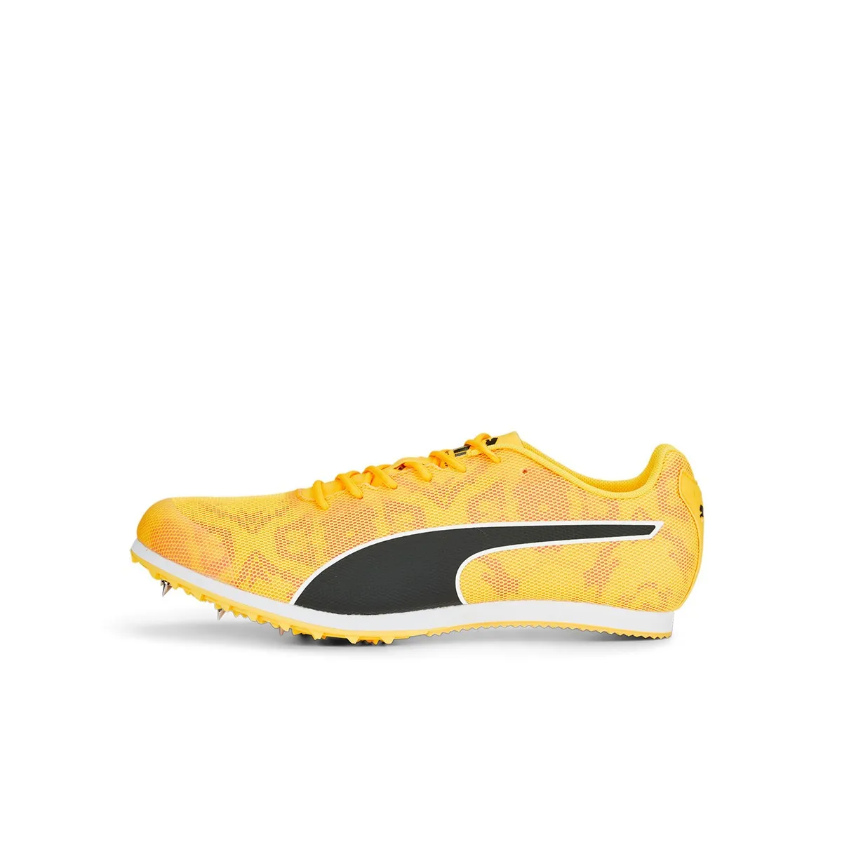 evoSPEED Star 8