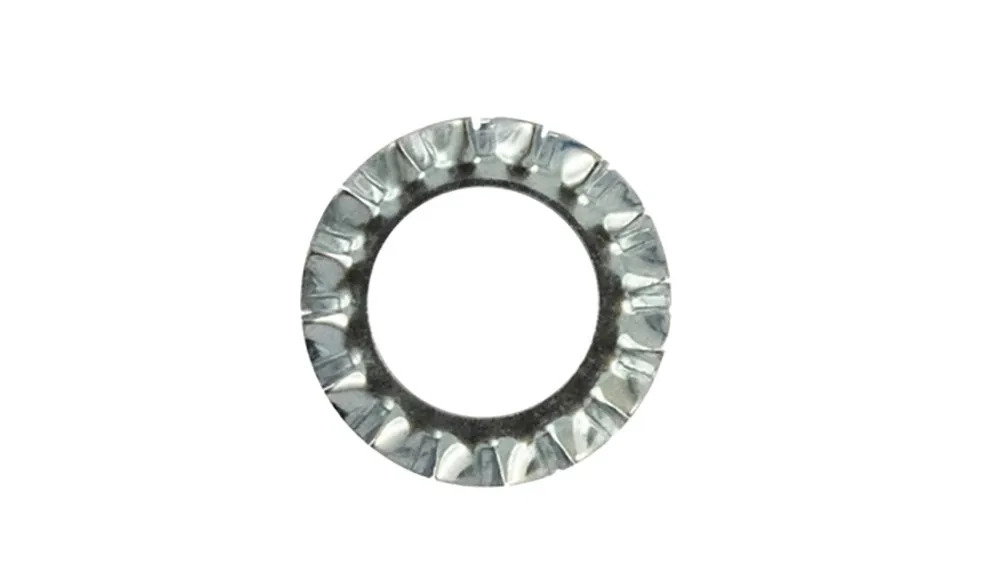 Rondella dentatura esterna din 6798-a zincata m10 pz25