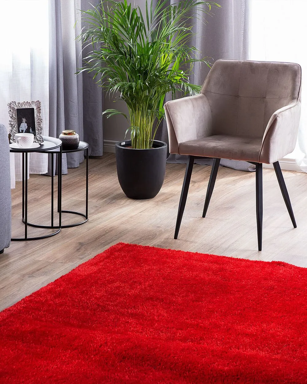 Shaggy Area Rug 200 x 300 cm Red DEMRE